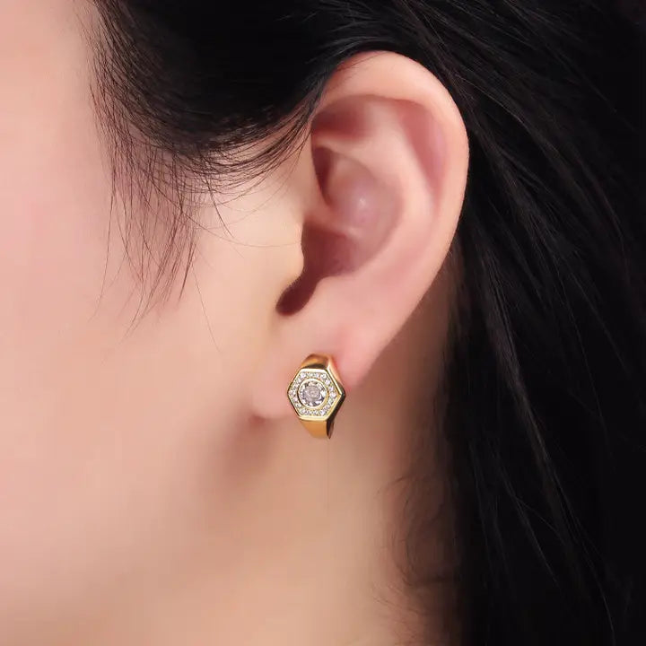 14K Gold Filled Clear, Blue Cz Paved Hexagon English Earring